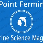 Point Fermin Marin Science Magnet